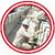 pelseal-application.jpg